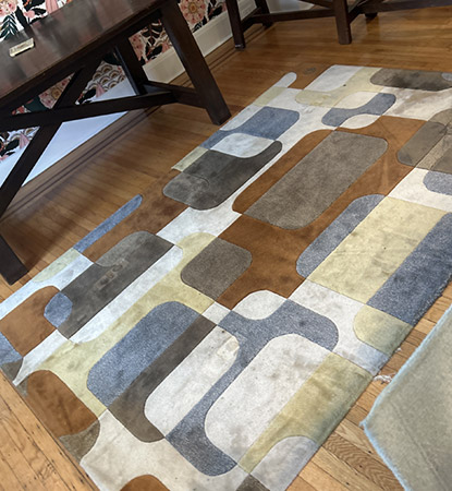 Professional Rug Cleaning Professional Rug Cleaning